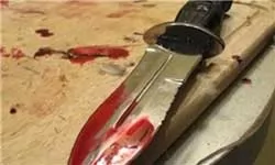 چاقو-مهم-ترین-ابزار-وقوع-جرم-است
