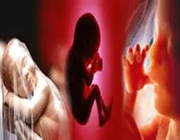 دیه-سقط-جنین