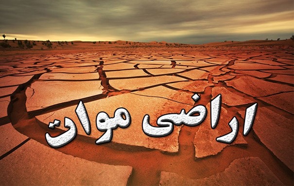 همه-چیز-درباره-زمین-موات-سند-دار