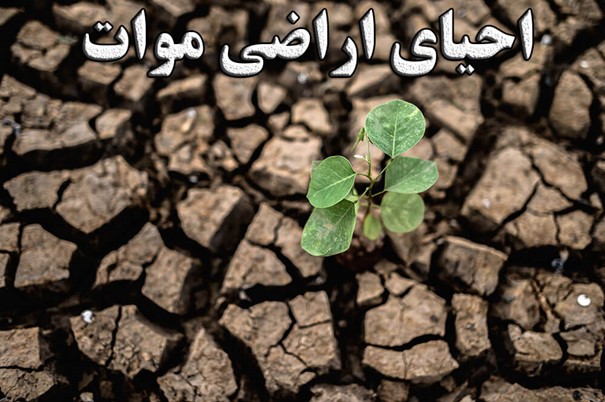 همه-چیز-درباره-زمین-موات-سند-دار