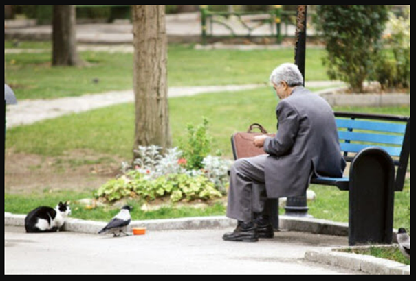 چه-بخشنامه‌هایی-برای-کار-مجدد-بازنشستگان-وجود-دارد؟