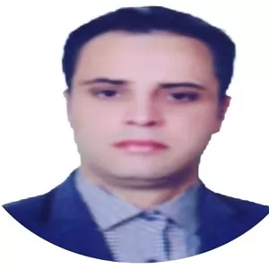 جناب-آقای-مهدی-ممی-زاده-چاتقیه-وکیل-پایه-یک-دادگستری