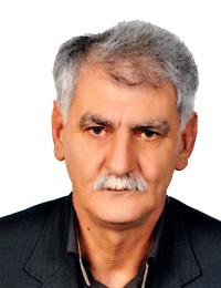 جناب-آقای-موسی-حمیدزاده-خیاوی-وکیل-پایه-یک-دادگستری