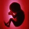 اهدای-جنین-از-دیدگاه-حقوقی-و-اخلاقی