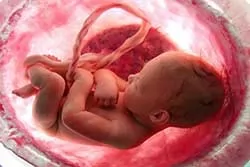 صدور-بیش-از-500-مجوز-سقط-جنین-درمانی-در-6-ماهه-نخست-امسال