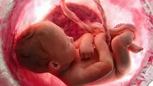 سقط-جنین-چه-مجازاتی-دارد-؟