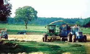 تأثیر-مالکیت-در-دعوای-تصرف-عدوانی-دکتر-عباس-زراعت