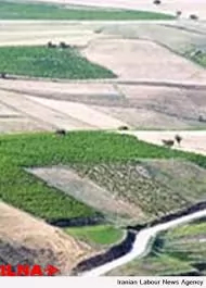 لایحه-دفاعیه-در-خصوص-دعوای-مطالبه-حق-زارعانه