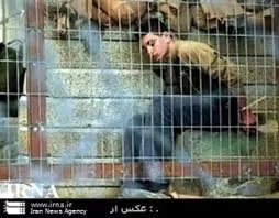 گفت-وگو-با-قاضی-احمد-مظفری-کودکان-نباید-به-زندان-بروند