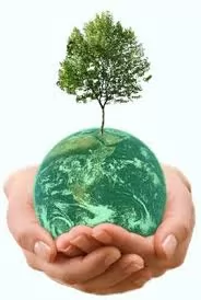 حفظ-طبیعت-از-منظر-حقوق-بررسی-بایدها-و-نبایدهای-حقوقی-محیط-زیست